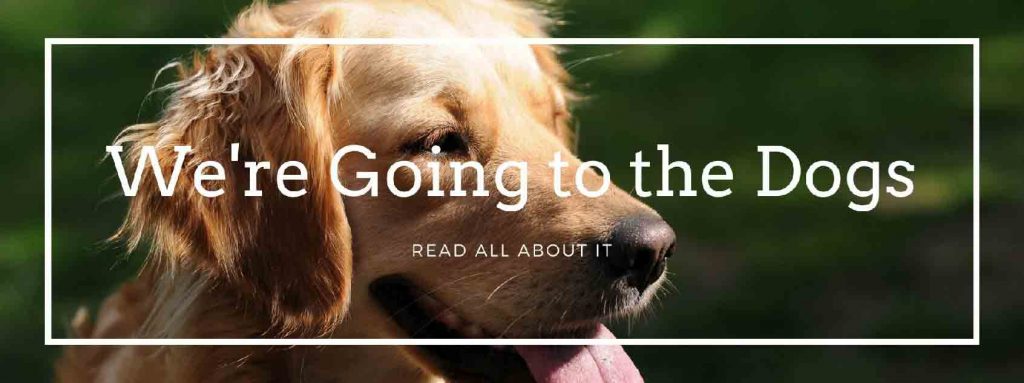 Going to the dogs